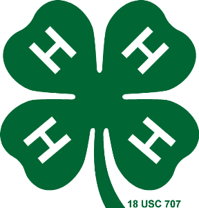 4h